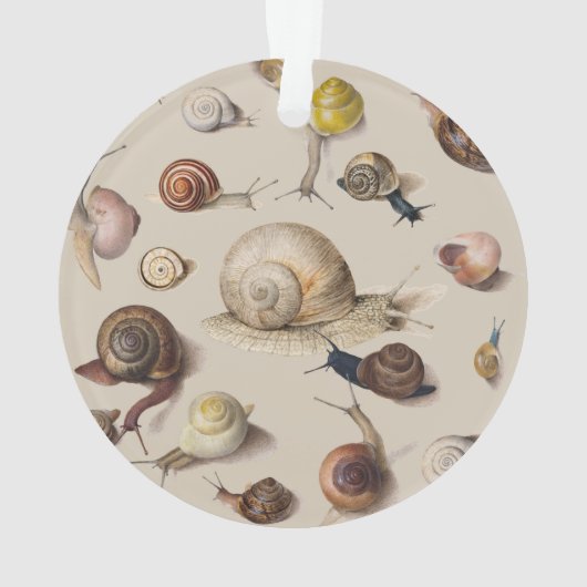 Snail Garden Haustier Gastropod Seven Lug Botanisc Ornament (Rückseite)
