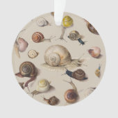 Snail Garden Haustier Gastropod Seven Lug Botanisc Ornament (Vorderseite)