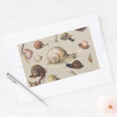 Snail Garden Haustier Gastropod Seven Lug Botanisc Rechteckiger Aufkleber (Umschlag)