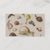 Snail Garden Haustier Gastropod Seven Lug Botanisc Visitenkarte (Rückseite)