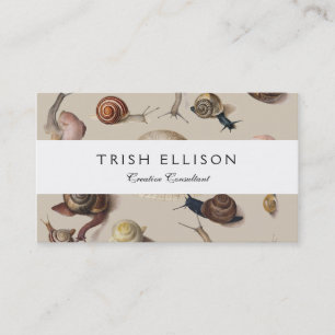 Snail Garden Haustier Gastropod Seven Lug Botanisc Visitenkarte