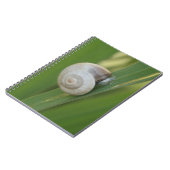 Snail-Journal Notizblock (Linke Seite)