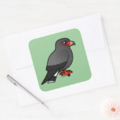 Snail Kite Quadratischer Aufkleber (Umschlag)