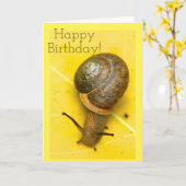 Snail mailkarte karte (Gelbe Blume)