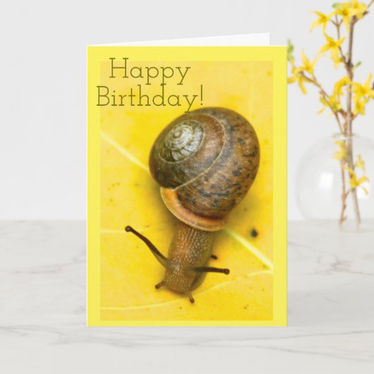 Snail mailkarte karte (Gelbe Blume)
