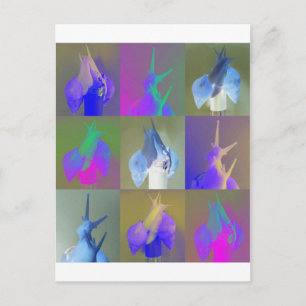 Snail Pop Art Postkarte