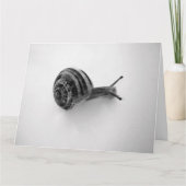 Snail Postcard Dankeskarte (Vorderseite)