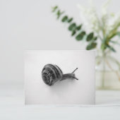 Snail Postcard Einladung (Stehend Vorderseite)