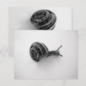 Snail Postcard Einladung (Vorne/Hinten)