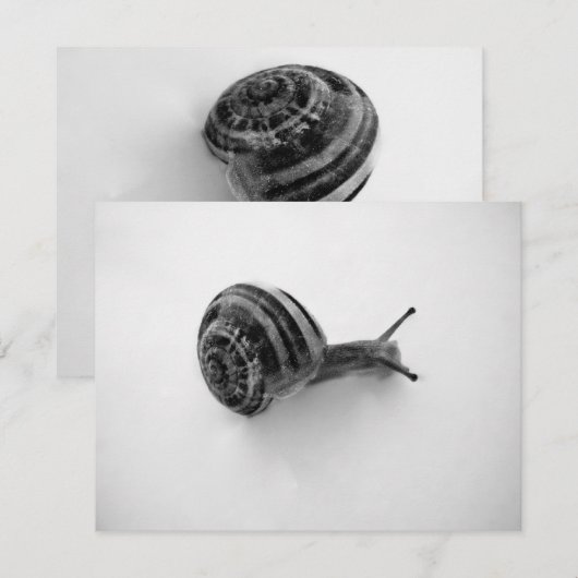 Snail Postcard Einladung (Vorne/Hinten)
