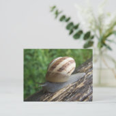 Snail Postcard Postkarte (Stehend Vorderseite)