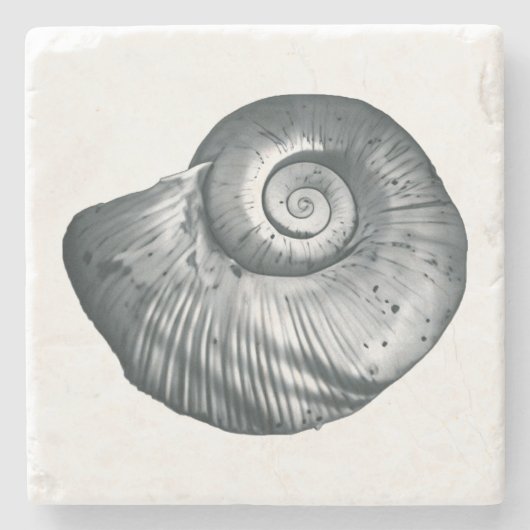 Snail Shell Steinuntersetzer (Vorderseite)