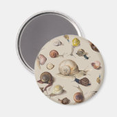 Snail Slug Garden Haustier Gastropod Botanische Sc Magnet (Vorderseite/Rückseite)