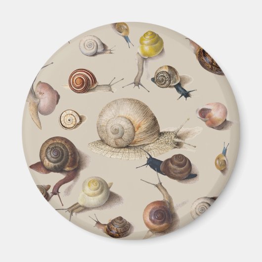 Snail Slug Garden Haustier Gastropod Botanische Sc Magnet (Vorne)