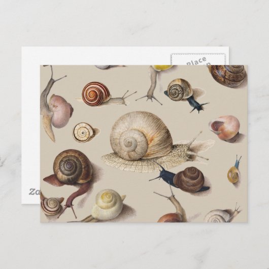 Snail Slug Garden Haustier Gastropod Botanische Sc Postkarte (Vorne/Hinten)