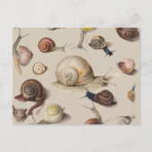 Snail Slug Garden Haustier Gastropod Botanische Sc Postkarte (Vorderseite)