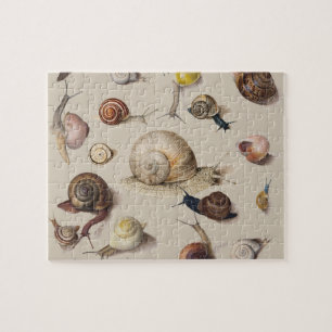 Snail Slug Garden Haustier Gastropod Botanische Sc Puzzle