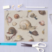 Snail Slug Garden Haustier Gastropod Botanische Sc Seidenpapier (Handwerk)