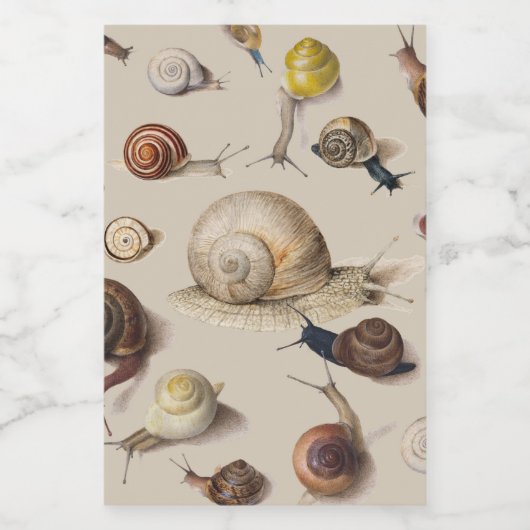 Snail Slug Garden Pet Gastropod Botanical Snails Lebensmitteletikett (Einzelnes Label)