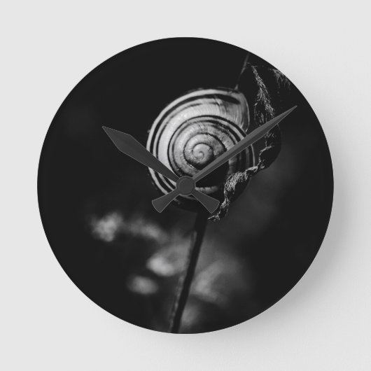 snail tail runde wanduhr (Vorderseite)
