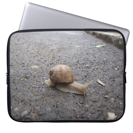 Snail Walk Laptopschutzhülle (Vorderseite)
