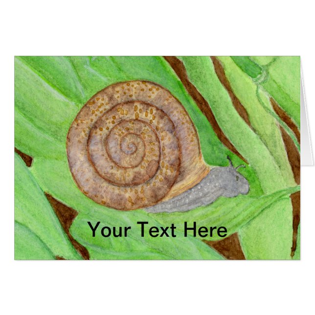 Snail Watercolor (Vorderseite (Horizontal))