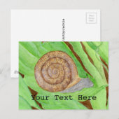 Snail Watercolor Postkarte (Vorne/Hinten)