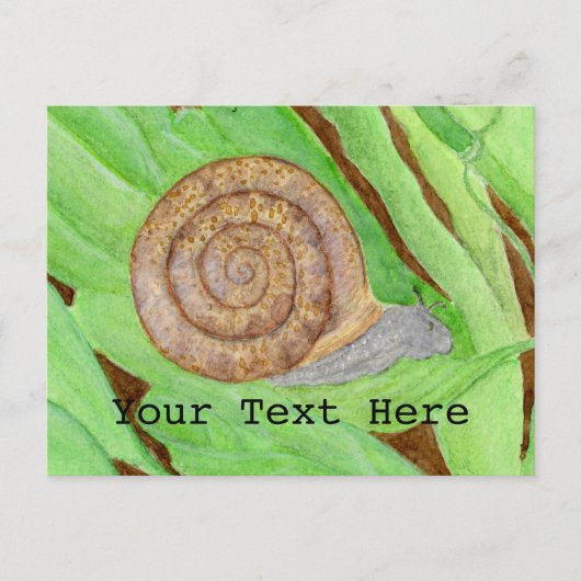 Snail Watercolor Postkarte (Vorderseite)