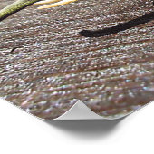 Snailephant Poster (Ecke)