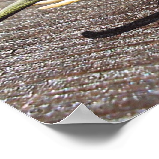 Snailephant Poster (Ecke)