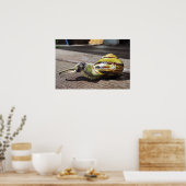 Snailephant Poster (Küche)