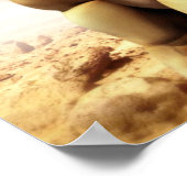 Snailmaster Poster (Ecke)