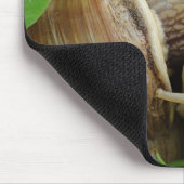 Snails Liebe Kiss Mousepad (Ecke)