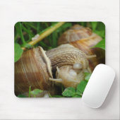 Snails Liebe Kiss Mousepad (Mit Mouse)
