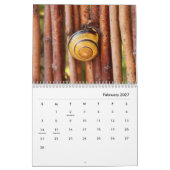 Snails Wall Calendar Kalender (Feb 2027)