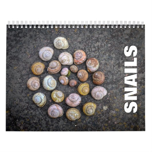 Snails Wall Calendar Kalender (Titelbild)