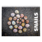 Snails Wall Calendar Kalender (Titelbild)