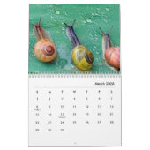 Snails Wall Calendar Kalender (Mär 2026)