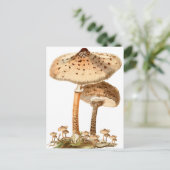 Snake Agaric Funghi Script Vintag | Postkarte (Stehend Vorderseite)