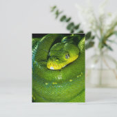 Snake Birthday Card Happy Birthday Snake (Stehend Vorderseite)