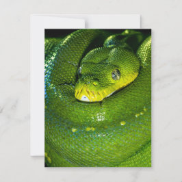 Snake Birthday Card Happy Birthday Snake