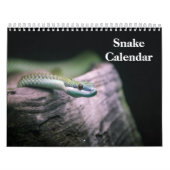 Snake Calendar 2026 Kalender (Titelbild)