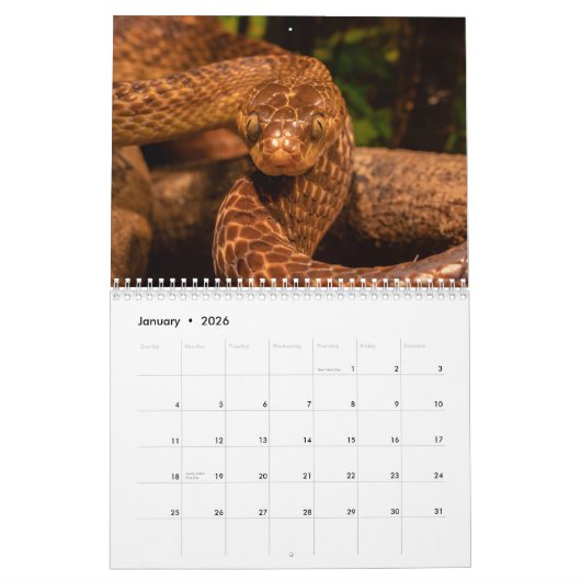 Snake Calendar 2026 Kalender (Jan 2026)