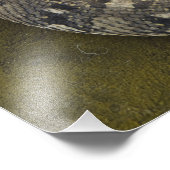 Snake Charmers afrikanischer Puff-adder Bitis Fotodruck (Ecke)