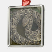 Snake Charmers afrikanischer Puff-adder Bitis Ornament Aus Metall (Links)