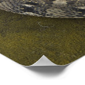 Snake Charmers afrikanischer Puff-adder Bitis Poster (Ecke)