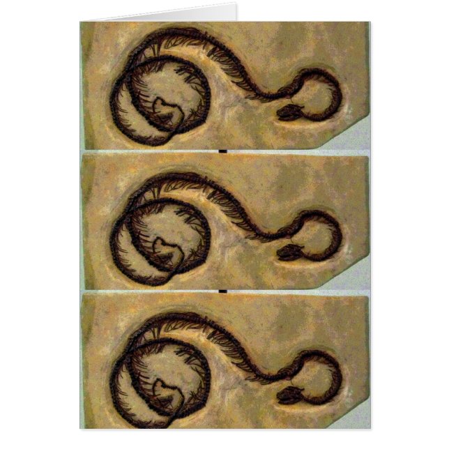 Snake Fossil CB (Vorne)