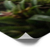 Snake Is Coming Shadow Path Poster (Ecke)