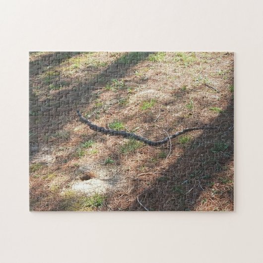 Snake Jigsaw Puzzle (Horizontal)