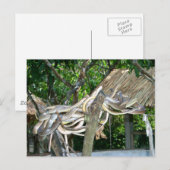 Snake Nest Postkarte (Vorne/Hinten)